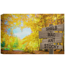 Load image into Gallery viewer, Image
