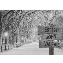 Load image into Gallery viewer, Image