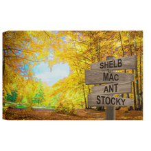Load image into Gallery viewer, Image