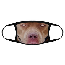 Load image into Gallery viewer, Pitbull Dog Reusable Fabric Mask Protective Mouth Face Mask Funny