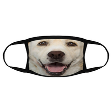 Load image into Gallery viewer, Labrador Dog Reusable Fabric Mask Protective Mouth Face Mask Funny