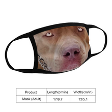 Load image into Gallery viewer, Pitbull Dog Reusable Fabric Mask Protective Mouth Face Mask Funny