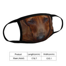 Load image into Gallery viewer, Dachshund &amp; Wiener Dog Reusable Fabric Mask Protective Mouth Face Mask Funny