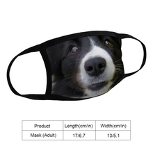Load image into Gallery viewer, Border Collie Dog Reusable Fabric Mask Protective Mouth Face Mask Funny