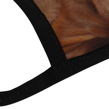 Load image into Gallery viewer, Dachshund &amp; Wiener Dog Reusable Fabric Mask Protective Mouth Face Mask Funny