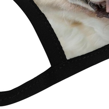 Load image into Gallery viewer, Labrador Dog Reusable Fabric Mask Protective Mouth Face Mask Funny