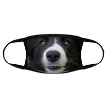 Load image into Gallery viewer, Border Collie Dog Reusable Fabric Mask Protective Mouth Face Mask Funny