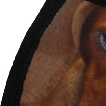 Load image into Gallery viewer, Dachshund &amp; Wiener Dog Reusable Fabric Mask Protective Mouth Face Mask Funny