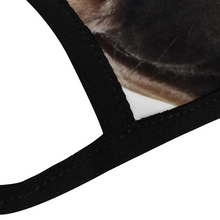 Load image into Gallery viewer, Pug Dog Reusable Fabric Mask Protective Mouth Face Mask Funny