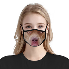 Load image into Gallery viewer, Pitbull Dog Reusable Fabric Mask Protective Mouth Face Mask Funny