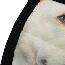 Load image into Gallery viewer, Labrador Dog Reusable Fabric Mask Protective Mouth Face Mask Funny