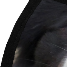 Load image into Gallery viewer, Border Collie Dog Reusable Fabric Mask Protective Mouth Face Mask Funny