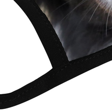 Load image into Gallery viewer, Border Collie Dog Reusable Fabric Mask Protective Mouth Face Mask Funny